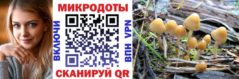 Псилоцибиновые грибы мицелий Курган
