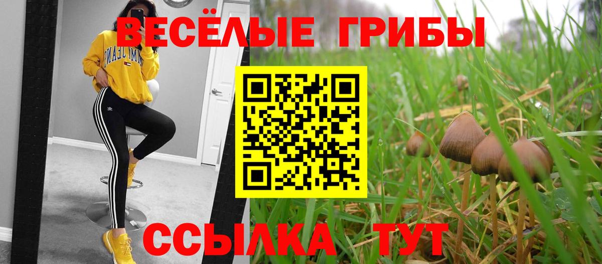 Курган  Псилоцибиновые грибы ЛСД  Галлюциногенные грибы Cubensis  Вход с VPN 